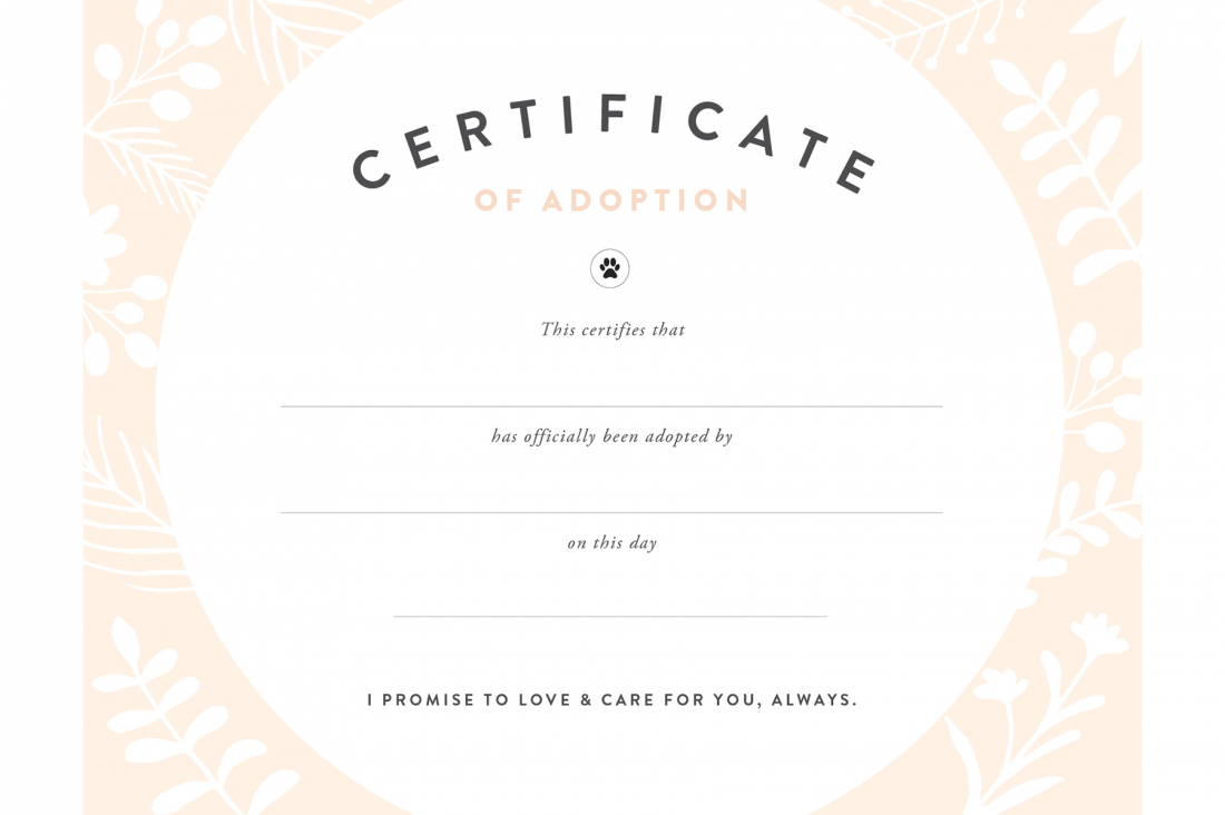 Diy Rescue Dog Adoption Certificate | Kids&amp;#039; Party Ideas | Rescue - Free Printable Stuffed Animal Adoption Certificate