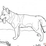 Dog Coloring Page | Islandersshoponline   Free Printable Dog Coloring Pages