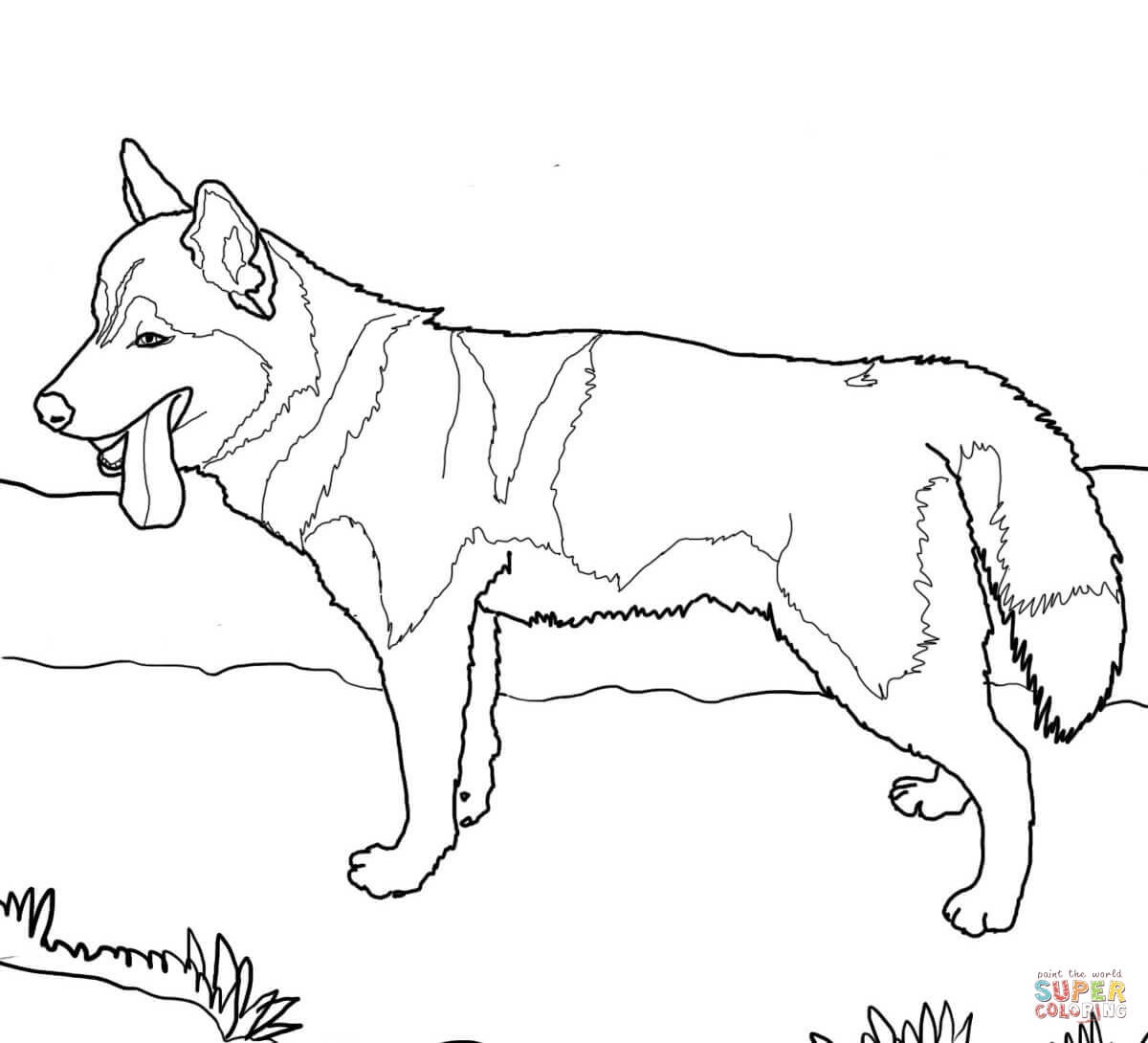 Dog Coloring Page | Islandersshoponline - Free Printable Dog Coloring Pages