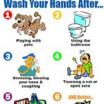 Download A Free 8 1/2 X 11" Handwashing Poster | Education | Hand   Free Printable Hand Washing Posters