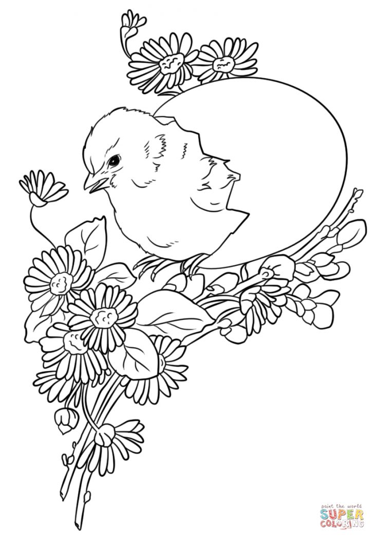 Free Printable Easter Baby Chick Coloring Pages