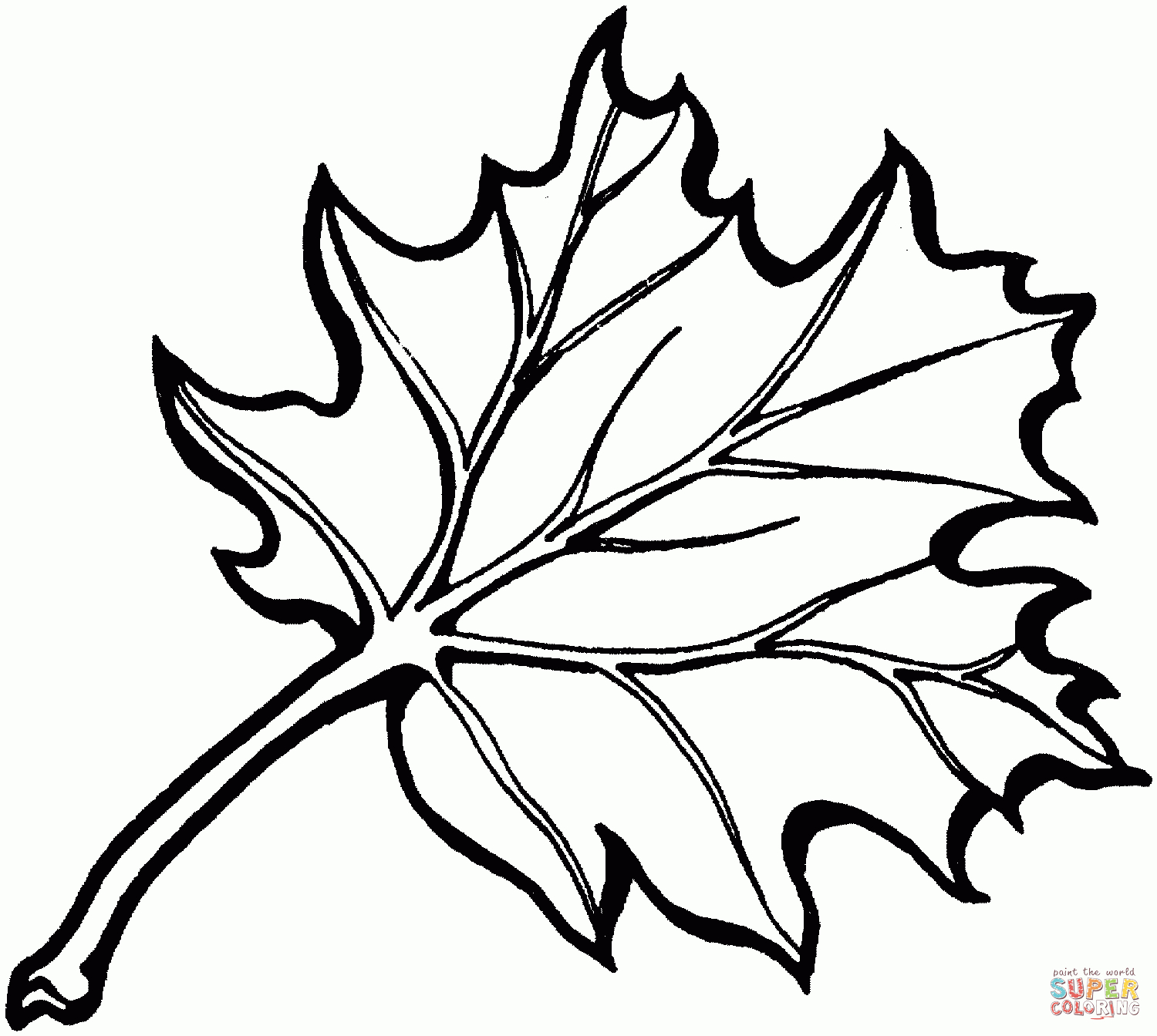 Eastern Black Oak Leaf Coloring Page | Free Printable Coloring Pages - Free Printable Oak Leaf Patterns