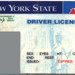 Fake Id Templates Sample | Get Sniffer   Free Printable Fake Drivers License