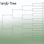 Family Tree Template Resources   Free Printable Family Tree Template