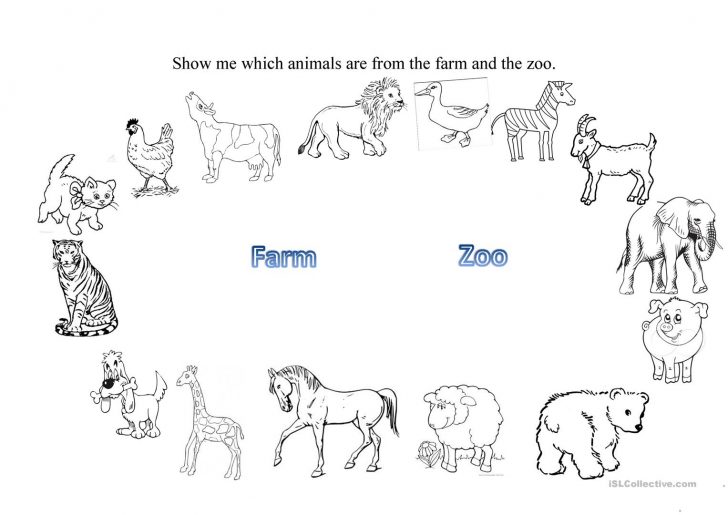 Free Printable Zoo Worksheets