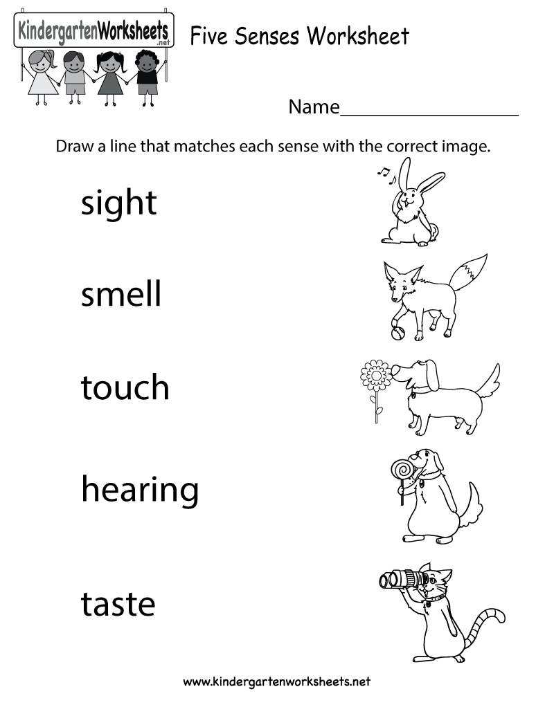 Five Senses Worksheet - Free Kindergarten Learning Worksheet For Kids - Free Printable Worksheets Kindergarten Five Senses