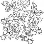 Flowers Coloring Pages Roses Flowers Coloring Page Free Printable   Free Printable Roses