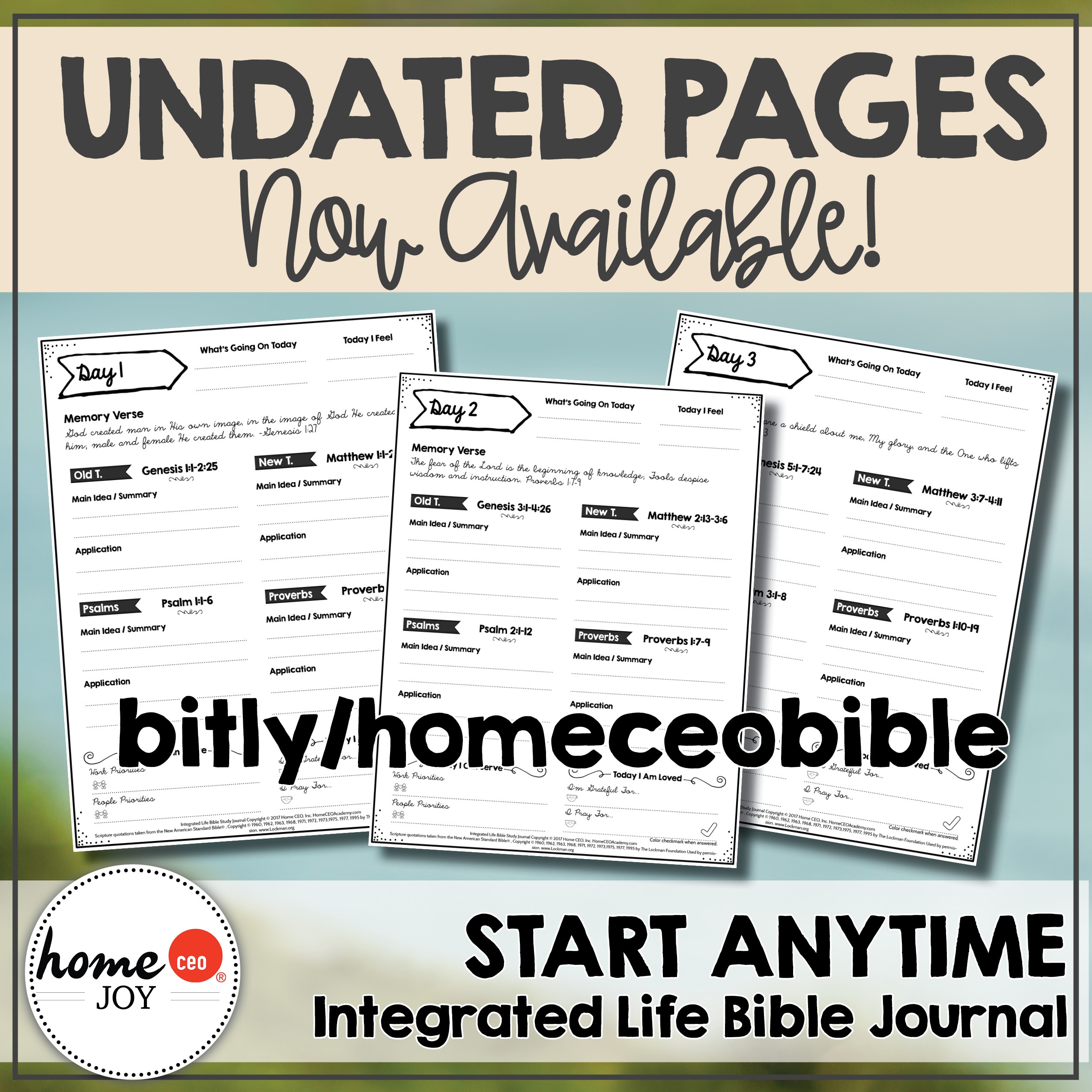 Free Bible Study Printables - Free Printable Bible Studies For Men