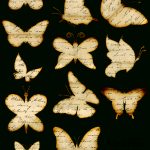 Free Butterfly Clipart | Butterflies | Butterfly Clip Art, Diy   Free Printable Butterfly Clipart