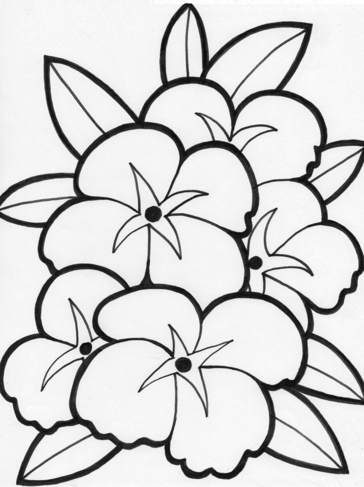 Free Printable Flower Coloring Pages