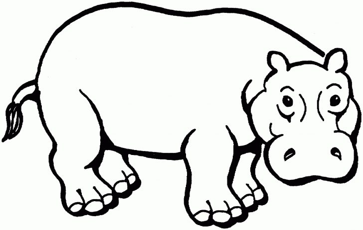 Free Printable Hippo Coloring Pages