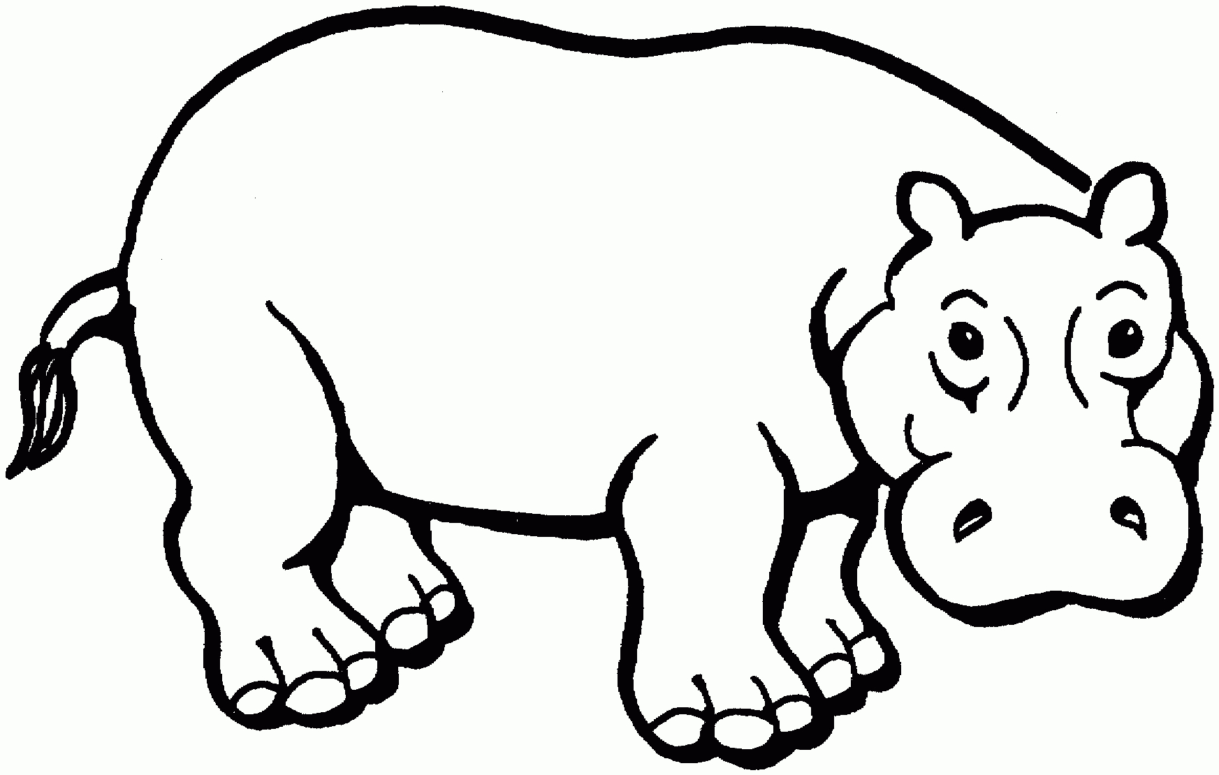 Free Hippo Coloring Pages - Free Printable Hippo Coloring Pages