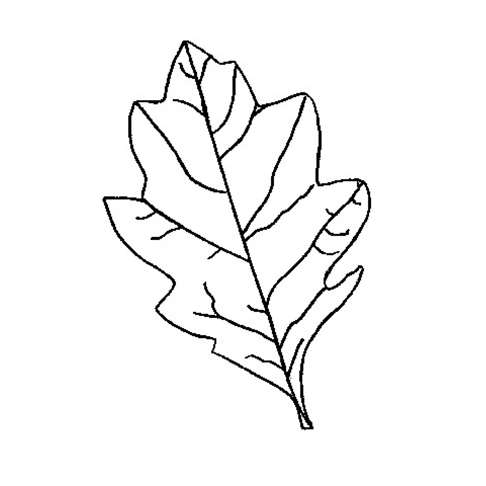 Free Oak Leaf Outline, Download Free Clip Art, Free Clip Art On - Free Printable Oak Leaf Patterns