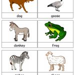 Free Printable Animals Flash Cards | Free Printable For Learning   Free Printable Animal Cards