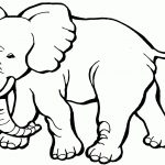 Free Printable Coloring Page Of Elephant   Coloring Home   Free Printable Elephant Pictures