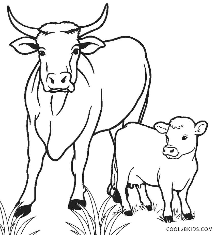 Free Printable Cow Coloring Pages For Kids | Cool2Bkids - Coloring Pages Of Cows Free Printable