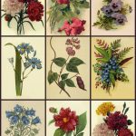 Free Printable Decoupage Papers | Digital Collage Sheet   Flower   Free Printable Decoupage Flowers