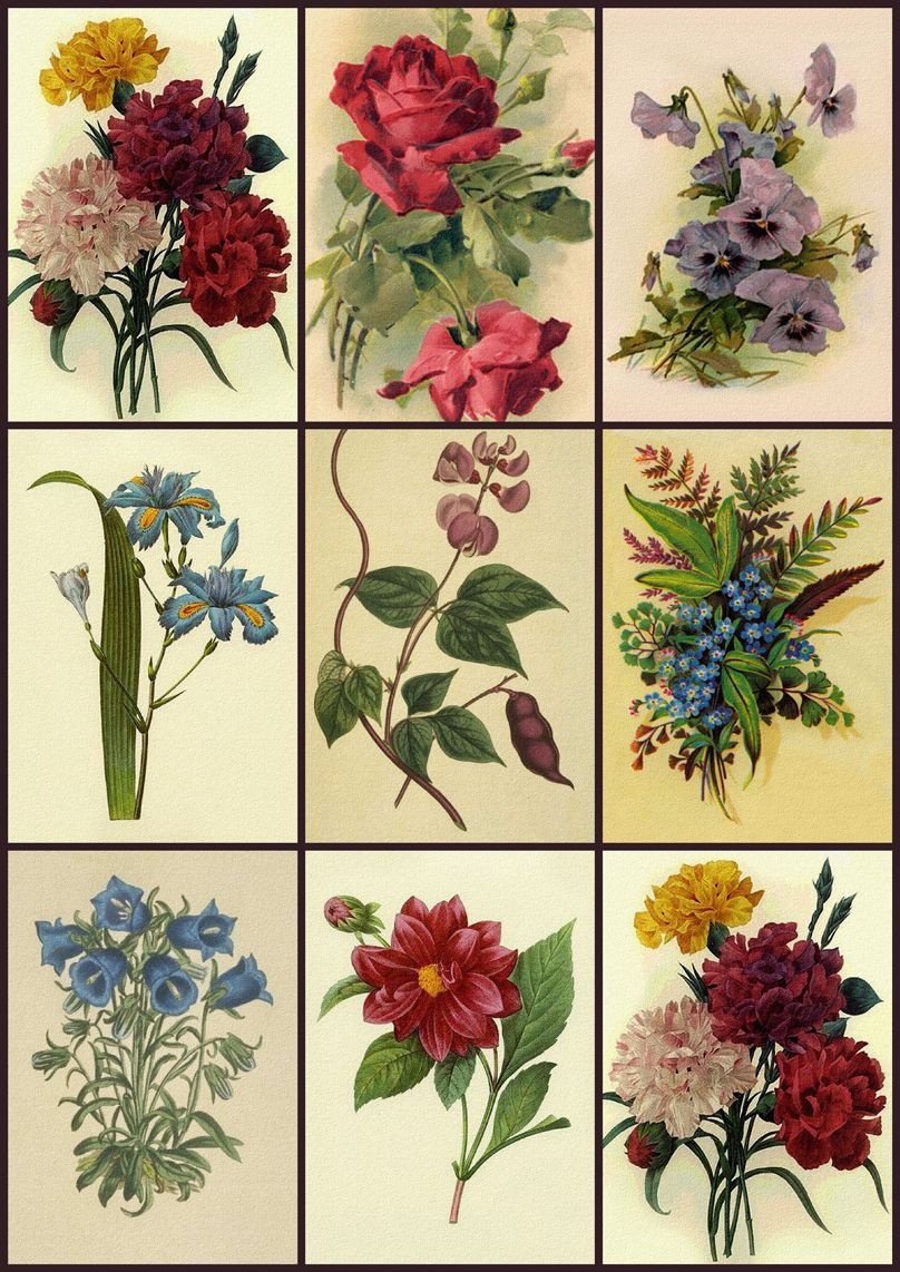 Free Printable Decoupage Papers | Digital Collage Sheet - Flower - Free Printable Decoupage Flowers