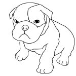 Free Printable Dog Coloring Pages For Kids   Colouring Pages Dogs Free Printable