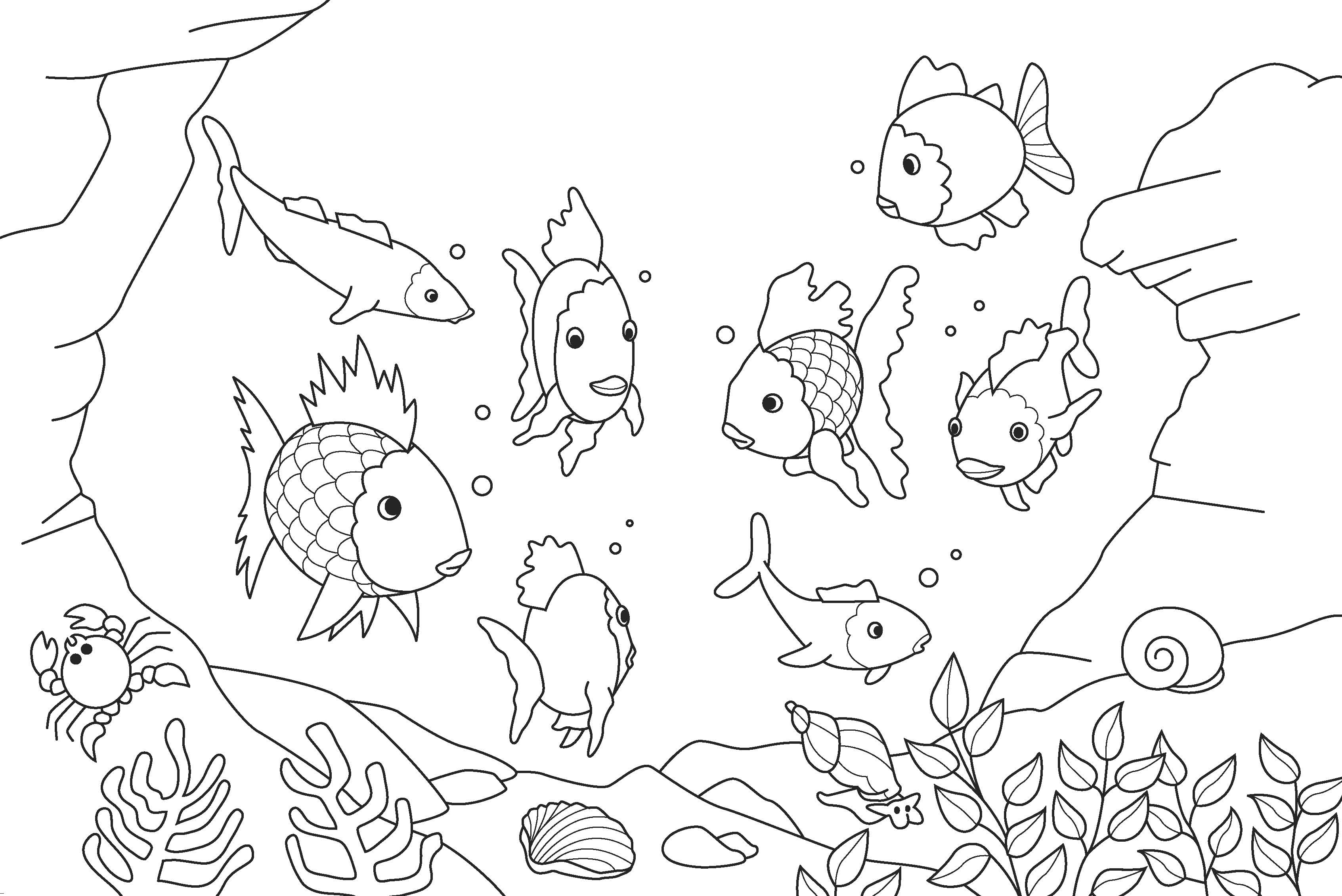 Free Printable Fish Coloring Pages For Kids - Free Printable Fish Coloring Pages