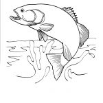 Free Printable Fish Coloring Pages For Kids | Honey Look | Fish   Free Printable Fish Coloring Pages