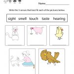 Free Printable Five Senses Worksheet For Kids   Free Printable Worksheets Kindergarten Five Senses