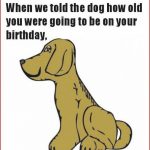 Free Printable Funny Birthday Cards For Adults   Printable Cards   Free Printable Birthday Cards For Adults