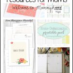 Free Printable Home Organization Worksheets (78+ Images In   Free Printable Home Organization Worksheets