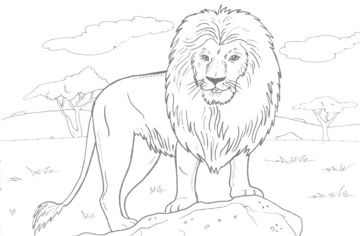 Free Printable Picture Of A Lion