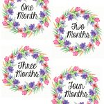 Free Printable Monthly Baby Girl Belly Stickers – Wonderfully Eccentric   Free Printable Baby Month Stickers