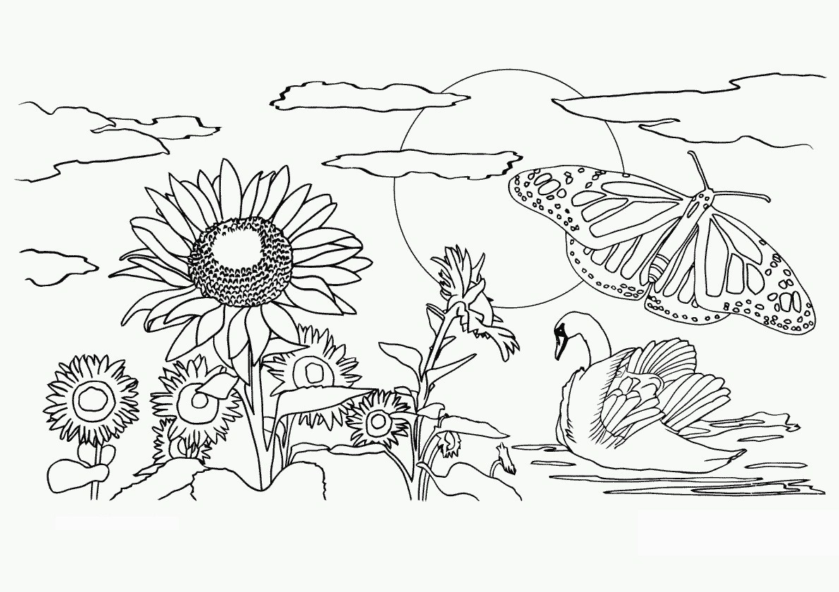 Free Printable Nature Coloring Pages For Kids Best For Coloring Page - Free Printable Nature Coloring Pages For Adults