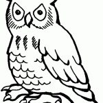 Free Printable Owl Coloring Pages For Kids   Free Printable Owl Coloring Sheets