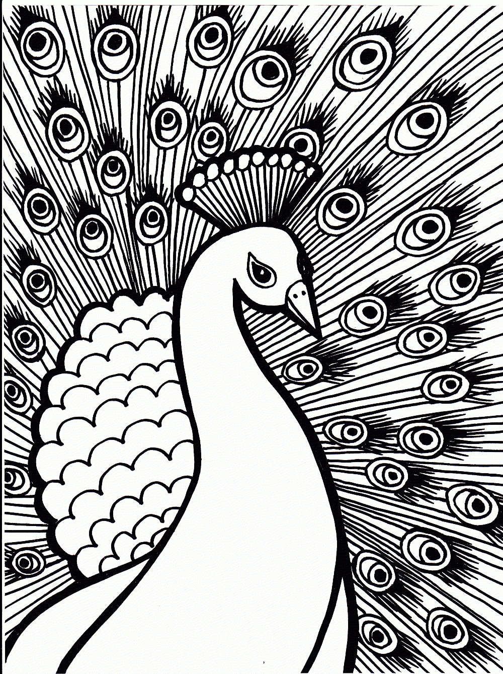 Free Printable Peacock Coloring Pages For Kids - Free Printable Peacock Pictures
