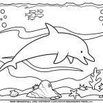 Free Printable Pictures Of Dolphins, Download Free Clip Art, Free   Dolphin Coloring Sheets Free Printable