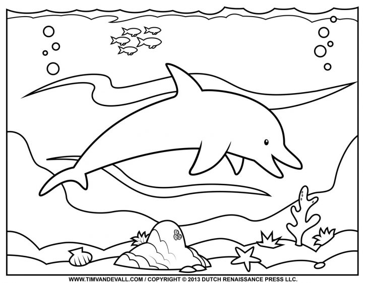 Dolphin Coloring Sheets Free Printable