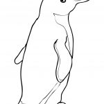 Free Printable Pictures Of Penguins, Download Free Clip Art, Free   Free Printable Penguin Books