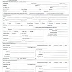 Free Printable Registration Forms | Shop Fresh   Free Printable Forms