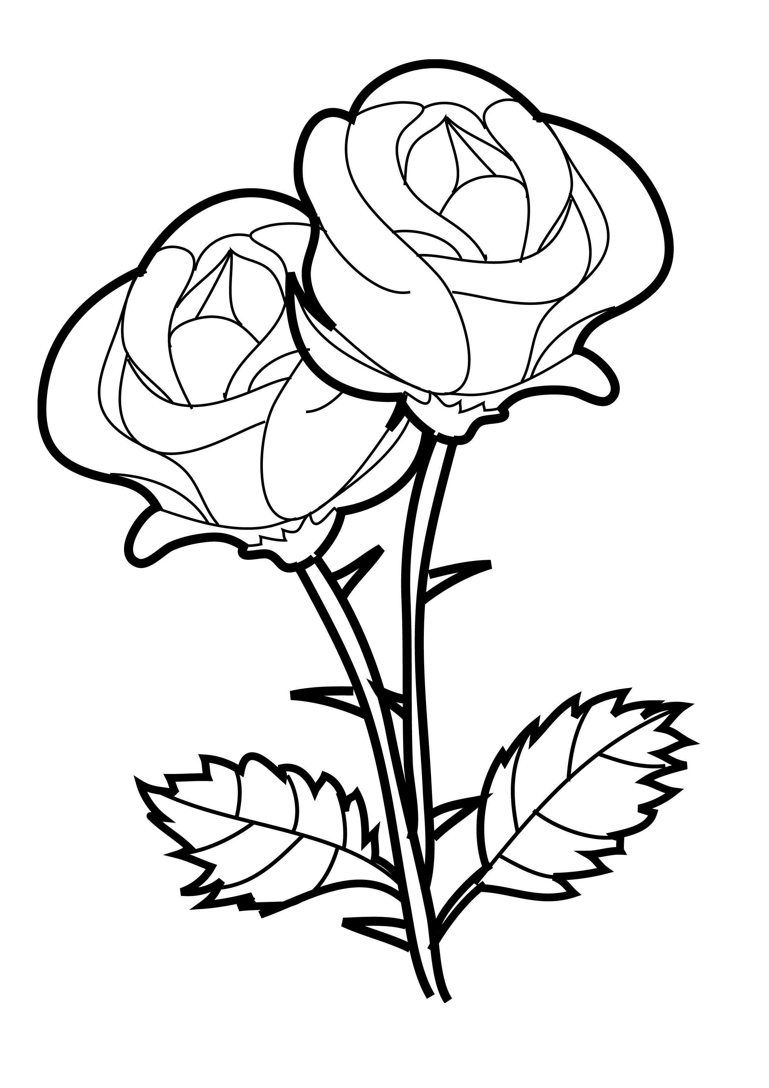 Free Printable Roses Coloring Pages For Kids - Free Printable Roses