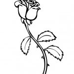 Free Printable Roses Coloring Pages For Kids   Free Printable Roses