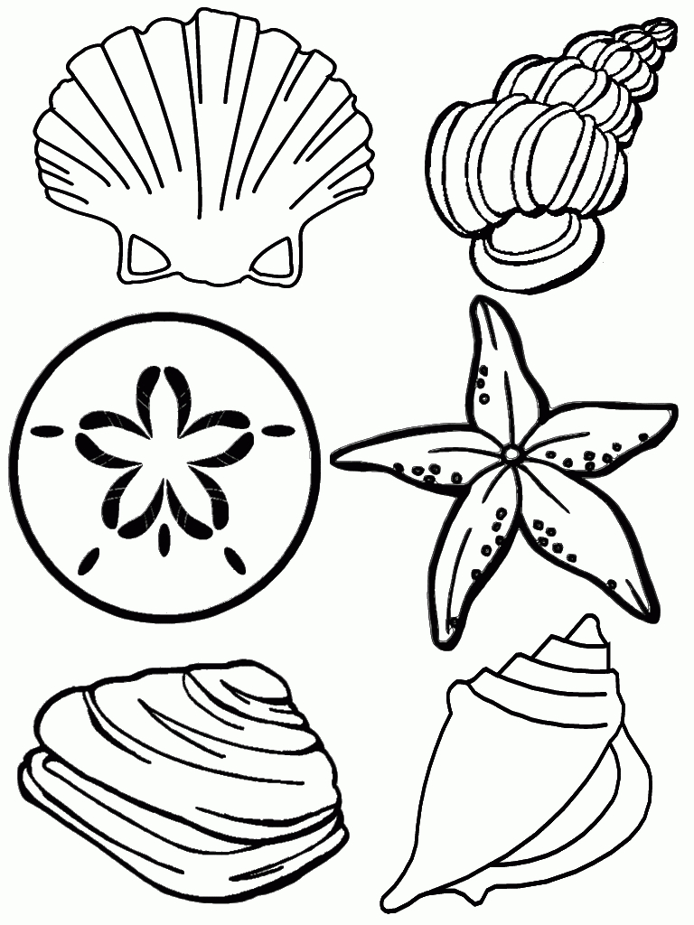 Free Printable Seashell Coloring Pages For Kids | Crafts | Beach - Free Printable Beach Coloring Pages