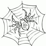 Free Printable Spider Web Coloring Pages For Kids   Free Printable Spider Web