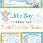 Free Printable Tooth Fairy Certificates | Parenting | Tooth Fairy   Free Printable Tooth Fairy Letter And Envelope