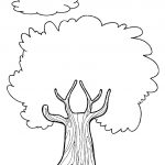 Free Printable Tree Coloring Pages For Kids | Cool2Bkids   Tree Coloring Pages Free Printable