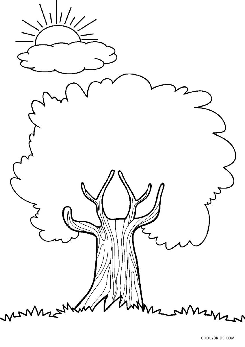 Free Printable Tree Coloring Pages For Kids | Cool2Bkids - Tree Coloring Pages Free Printable