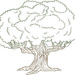 Free Printable Tree Coloring Pages For Kids   Tree Coloring Pages Free Printable
