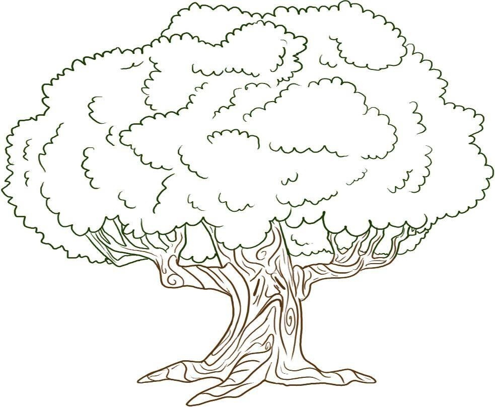 Free Printable Tree Coloring Pages For Kids - Tree Coloring Pages Free Printable