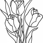 Free Printable Tulip Coloring Pages For Kids | 花 | Coloring Pages   Free Printable Tulip Coloring Pages