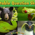 Free Printable Worksheets For Teachers & Parents   Wildlife And Science   Free Printable Reptile Worksheets