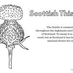 Free Printables: Learning About Scotland   Hodgepodgedays   Free Printable Scottish Flag