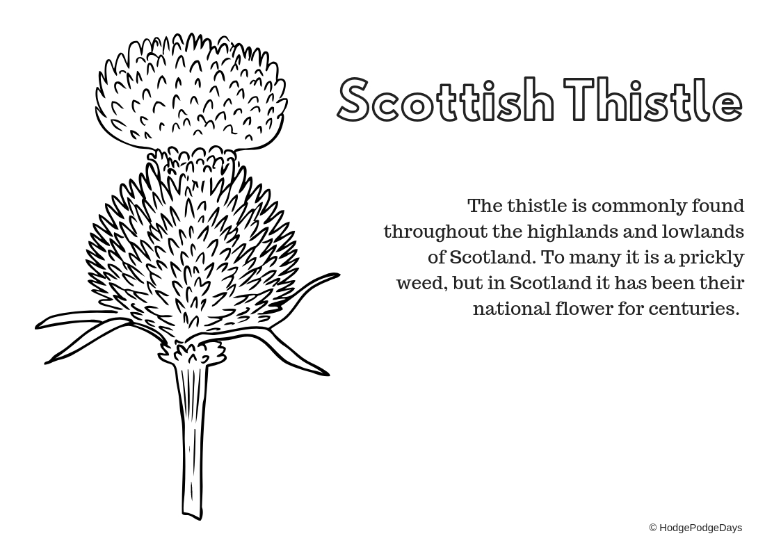 Free Printables: Learning About Scotland - Hodgepodgedays - Free Printable Scottish Flag